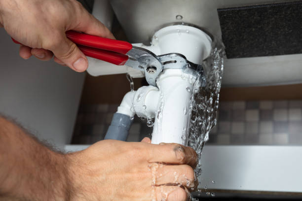 Best Mold removal after water damage  in Newtown Grant, PA