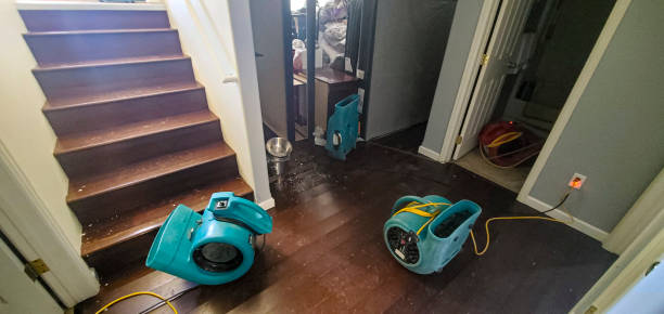 Best Water damage contractors near me  in Newtown Grant, PA