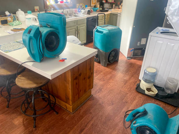 Best Local water damage restoration  in Newtown Grant, PA