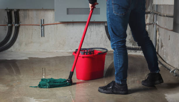 Best Water damage cleanup near me  in Newtown Grant, PA