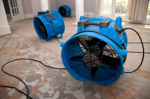 Best Water damage cleanup near me  in Newtown Grant, PA