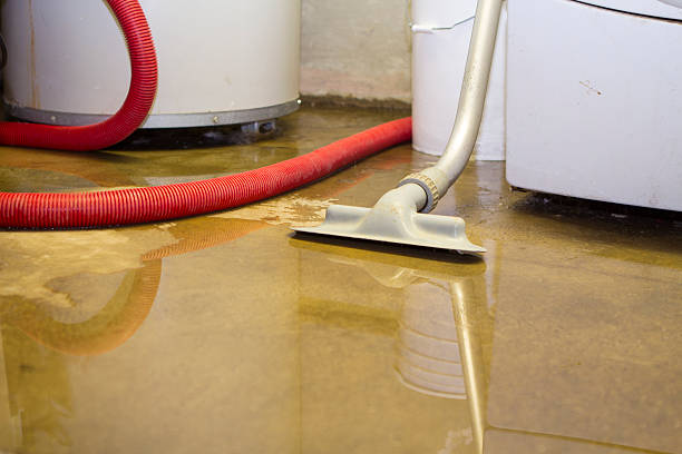 Best Basement water damage restoration  in Newtown Grant, PA