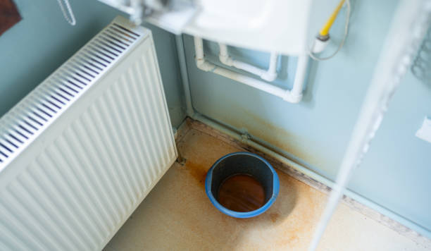Best Carpet water damage restoration  in Newtown Grant, PA