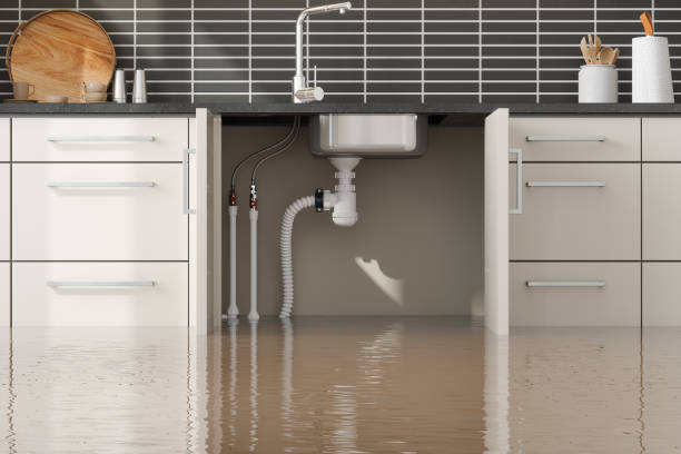 Best Ceiling water damage repair  in Newtown Grant, PA